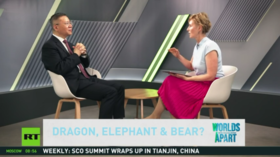 Dragon, elephant & bear? Zhang Weiwei, Director of the China Institute at Fudan University