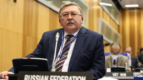 Ukraine threatening nuclear plants – Russian envoy