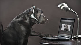 Scientists working on ‘animal internet’