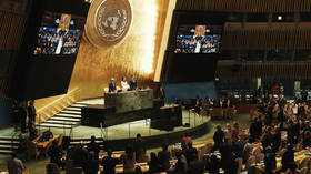 UN recognizes State of Palestine without Hamas – Ukraine votes ‘yes’, US and Israel vote ‘no’