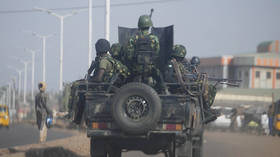 Dozens of hostages rescued in Nigeria – media