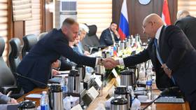 Egypt grants ‘unique’ terms to Russian companies