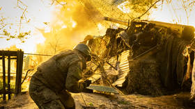 Putin reveals number of troops engaged in Ukraine conflict