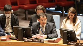 Estonia ‘imagined’ Russian incursion into its airspace – Moscow