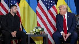 Ukrainian MP accuses Zelensky of wishful thinking after Trump’s ‘paper tiger’ remarks