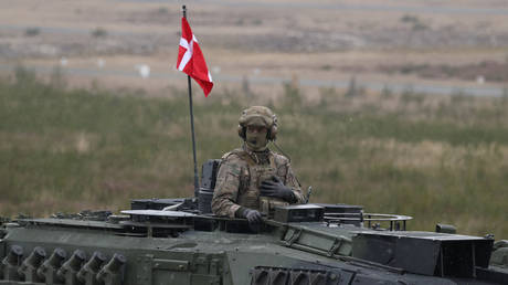 EU country mobilizes reservists after drone incidents – media