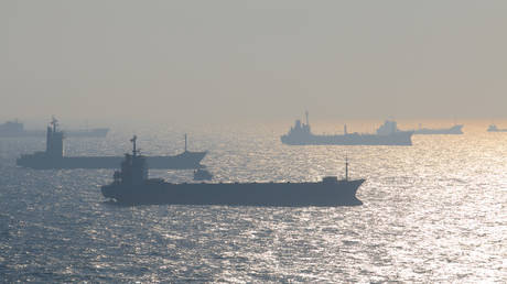 Russian oil product finds unexpected top buyer – NGO