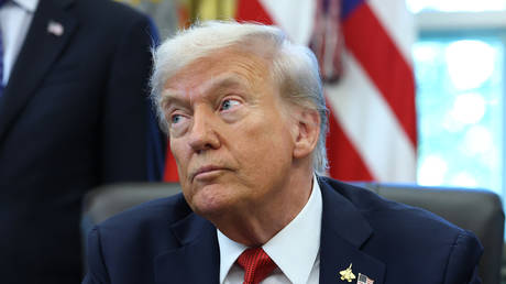 ‘She’s just a troublemaker’ – Trump on Thunberg arrest in Israel