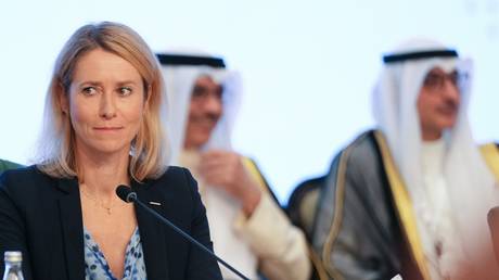 ‘Her day starts and ends with Russia’ – Kallas critics to Foreign Policy