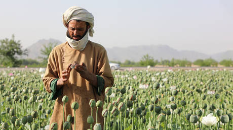 Addicts, mullahs, and meth: Inside Afghanistan’s harsh war on drugs