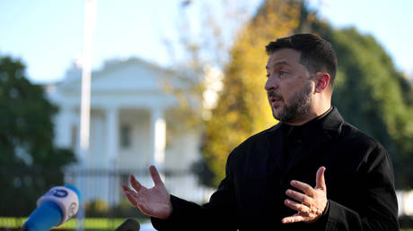 Zelensky ready for negotiations with Russia ‘in any format’