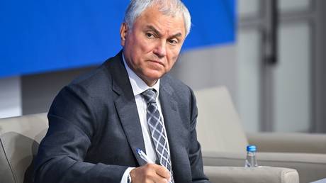 EU paying Chanel prices for US gas – Russia’s top MP