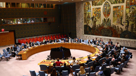 UN Security Council to determine status of disputed African territory