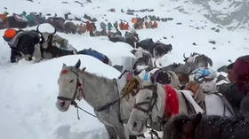 Hundreds trapped on Mount Everest – media