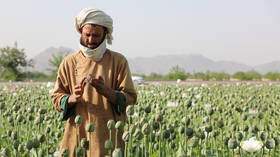 Addicts, mullahs, and meth: Inside Afghanistan’s harsh war on drugs