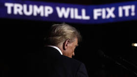 ‘They disappeared my hair’ – Trump