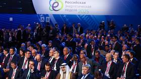 Russia ‘confident’ energy partnership with India will continue – deputy PM