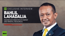 Power cooperation with Russia has deep historical ties – Indonesian energy minister