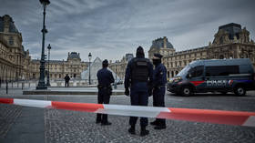 Louvre robbery ‘humiliation’ for France – opposition politician