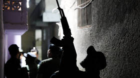 French jihadists attack Syrian government forces – media