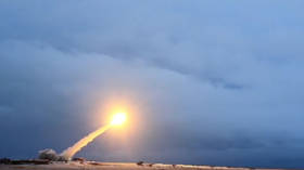 Russia’s New Cruise Missile Changes the Game: Former US Army Officer (VIDEO)