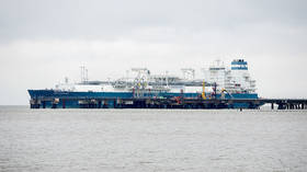 Russia seeking to expand energy exports to India – minister