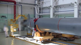 Russia tests nuclear-capable underwater drone – Putin