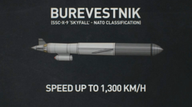 Putin reveals details about Burevestnik missile’s nuclear engine