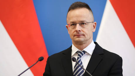 Budapest accuses Ukraine of trying to mobilize ethnic Hungarian students