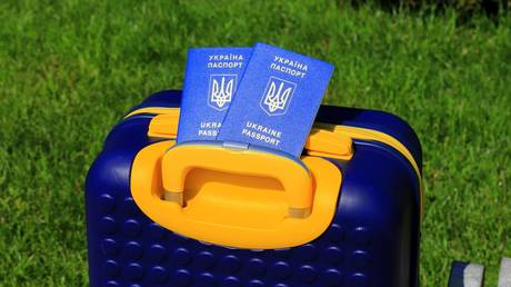 Spike in Ukrainian males entering EU – Eurostat