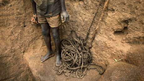 Sorry! Image not available at this time