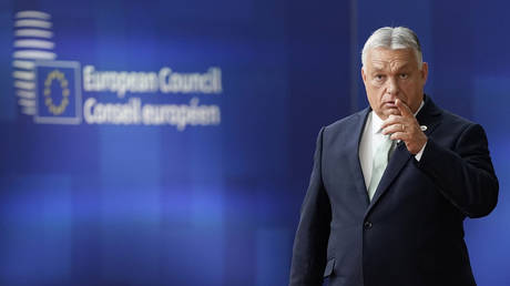 Europeans’ grandchildren would pay for new Ukraine loan – Orban