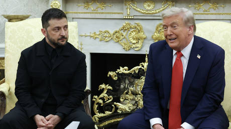 FILE PHOTO: US President Donald Trump meets with Vladimir Zelensky at the White House on August 18, 2025 in Washington, DC.