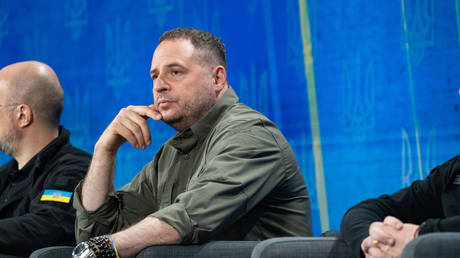 Ex-Zelensky aide ‘disgusted by lack of support’ amid corruption probe