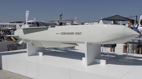 UK supplies Ukraine with more long-range missiles to strike Russia – Bloomberg