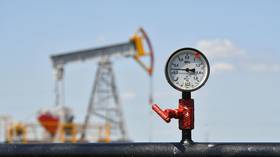 Russian oil exports to India grow despite Western sanctions – Reuters