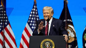 US ‘may be working on plan to denuclearize’ with Russia and China – Trump