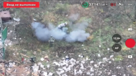 Pig saves two Russian soldiers from stepping on mine – media (VIDEO)