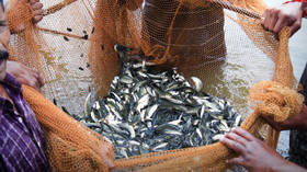 Moscow to approve Indian fishery units