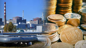 Ukrainian officials embezzled millions off Russian nuclear power plant – MP