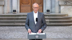 Ukrainians must work – Germany’s Merz