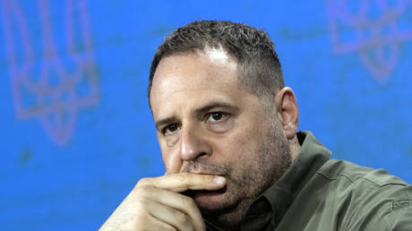 Zelensky’s top aide erupted in anger over sacking – media