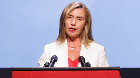 Former top EU diplomat detained in anti-fraud raid – media