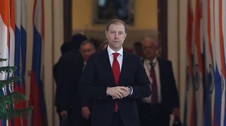 Russia ready to welcome ‘unlimited number’ of Indian workers – senior official