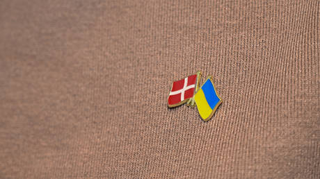 Ukraine’s top donor to nearly halve military aid in 2026