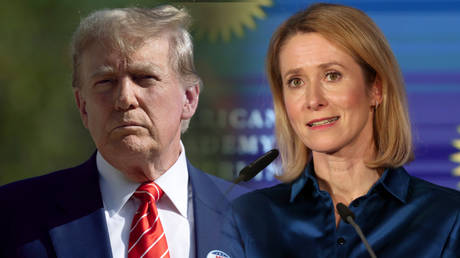 Trump’s comments a ‘provocation’ – EU’s Kallas (VIDEO)