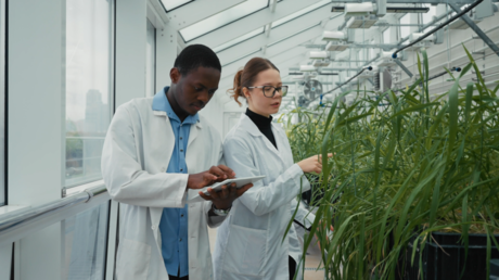 Russia offers cutting-edge agricultural education to students from all over the world