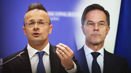 ‘Backstabbing’ NATO chief ‘fueling war’ – Hungary