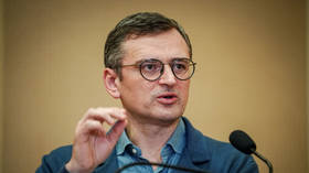 Ukraine must accept ‘tactical defeat’ – former foreign minister