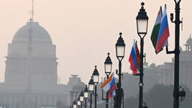 Plans revealed for Russia-India business forum during Putin visit